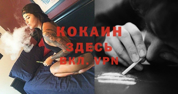 индика Алексеевка